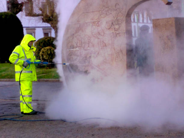 Best Roof Pressure Washing  in Franconia, VA